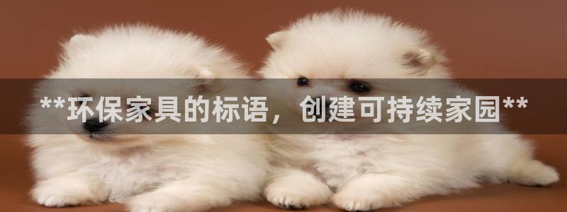 杏耀平台的专用通道