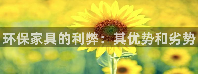 杏耀平台登陆测速：环保家具的利弊：其优势和劣势
