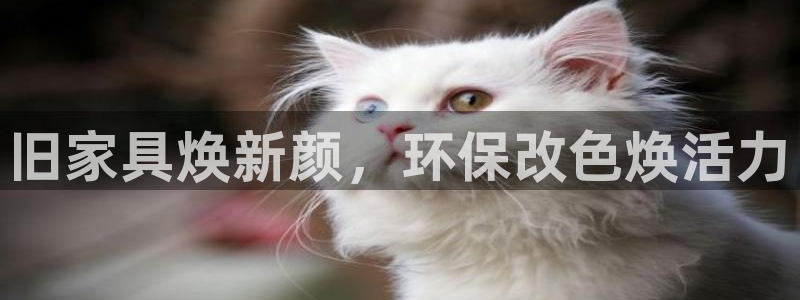 杏耀平台没有了