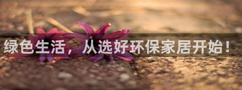 杏耀测速网址电脑版：绿色生活，从选好环保家居开始！