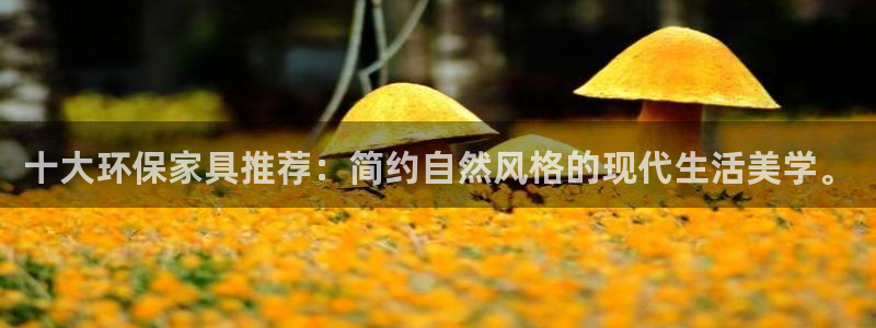 杏耀官网登录：十大环保家具推荐：简约自然风格的现代生活美学。