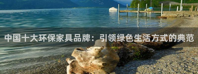 杏耀总代：中国十大环保家具品牌：引领绿色生活方式的典范