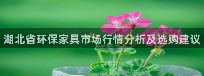 杏耀平台登录网址是什么：湖北省环保家具市场行情分析及选购建议
