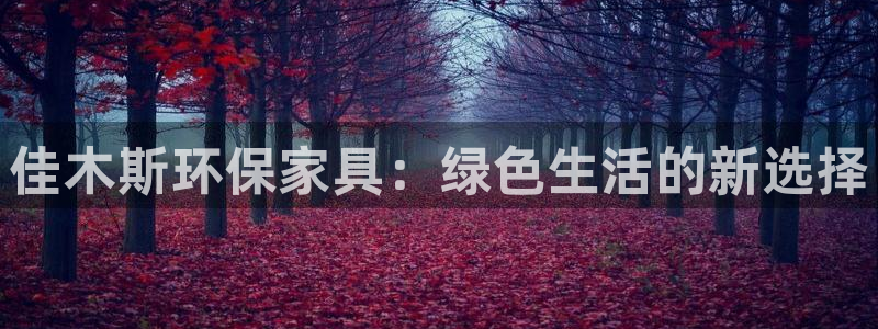 杏耀3注册：佳木斯环保家具：绿色生活的新选择