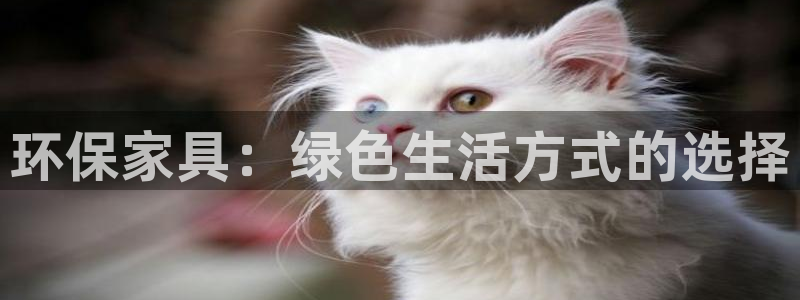 杏耀登陆