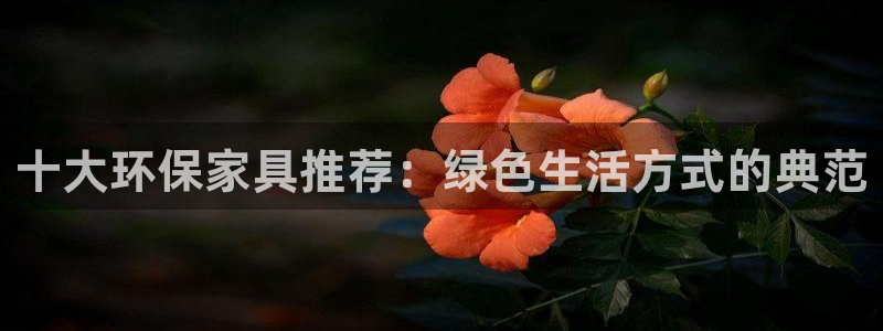 杏耀平台官网网址：十大环保家具推荐：绿色生活方式的典范