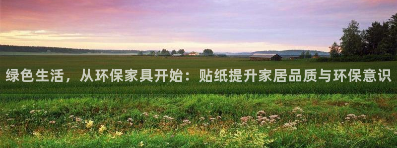 杏耀平台官网网址：绿色生活，从环保家具开始：贴纸提升家居品质