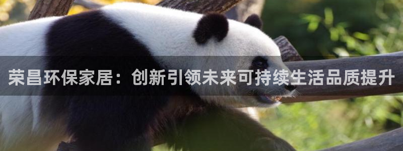 杏耀官方