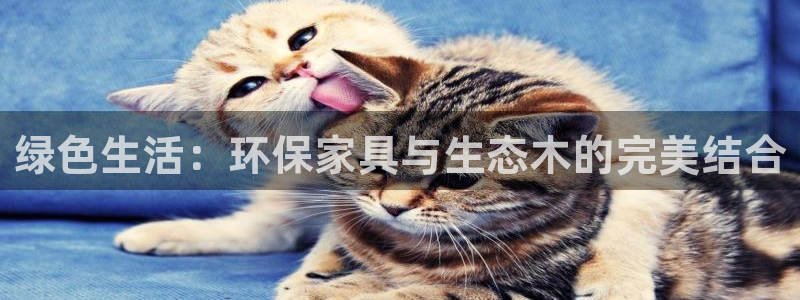 杏耀平台代理怎么赚钱