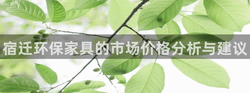 杏耀代理主管qq：宿迁环保家具的市场价格分析与建议