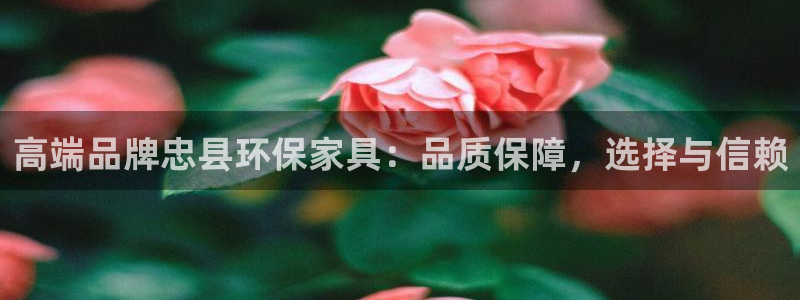杏耀注册代理：高端品牌忠县环保家具：品质保障，选择与信赖