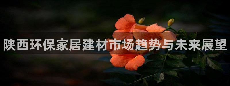 杏耀管网登录：陕西环保家居建材市场趋势与未来展望
