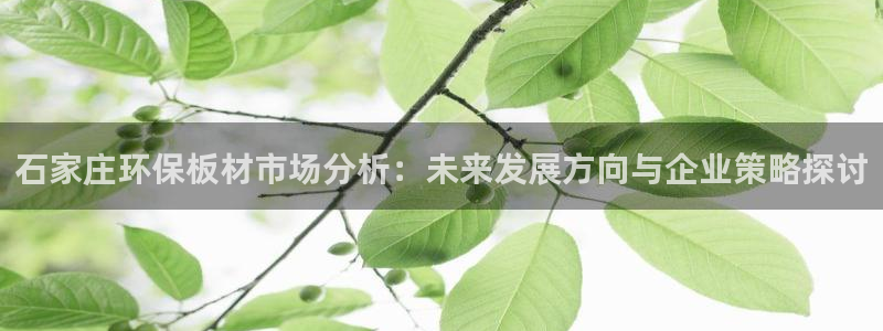 杏耀软件