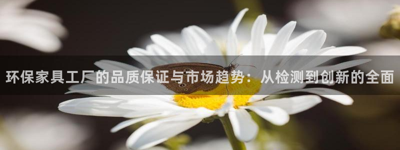 杏耀平台没有了：环保家具工厂的品质保证与市场趋势：从检测到创