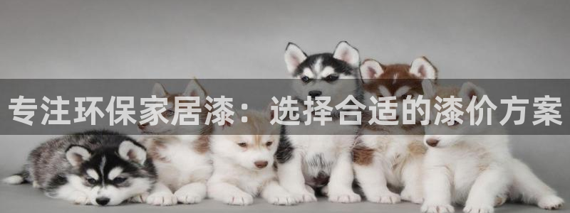 杏耀线路5检测：专注环保家居漆：选择合适的漆价方案