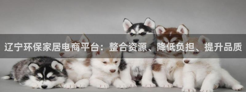 杏耀登录测速：辽宁环保家居电商平台：整合资源、降低负担、提升
