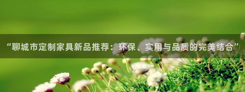 杏耀登录网页：“聊城市定制家具新品推荐：环保、实用与品质的完
