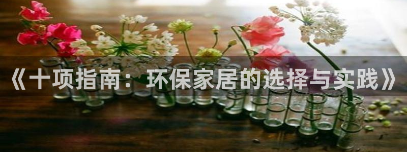 杏耀平台还在吗：《十项指南：环保家居的选择与实践》