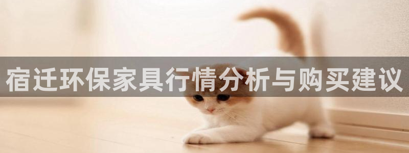 杏耀登陆电脑线路测速：宿迁环保家具行情分析与购买建议