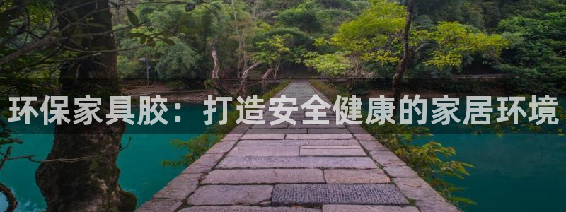 杏耀软件：环保家具胶：打造安全健康的家居环境