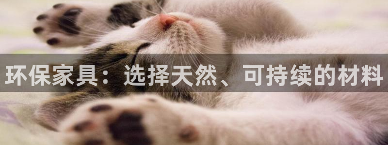 杏耀官方测速：环保家具：选择天然、可持续的材料