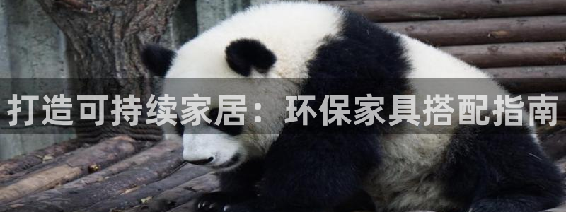 杏耀平台几年了：打造可持续家居：环保家具搭配指南