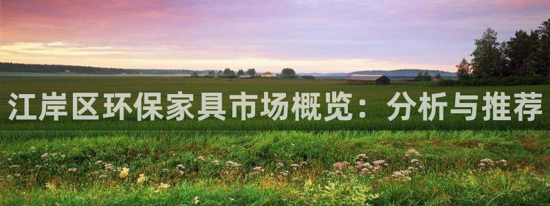 杏耀注册登入：江岸区环保家具市场概览：分析与推荐