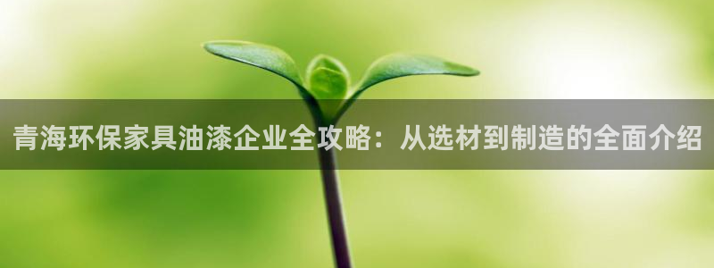 杏耀网页手机登录：青海环保家具油漆企业全攻略：从选材到制造的