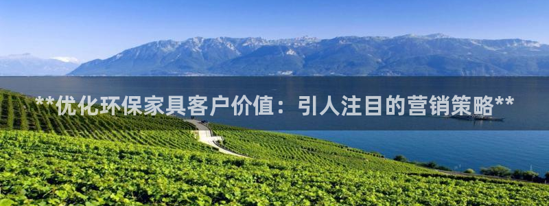 杏耀官方网：**优化环保家具客户价值：引人注目的营销策略**