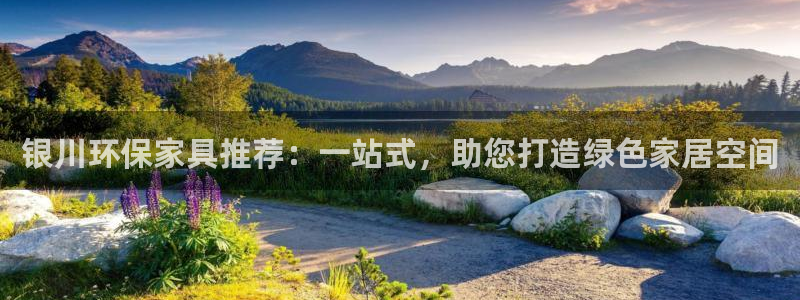 杏耀代理主管qq